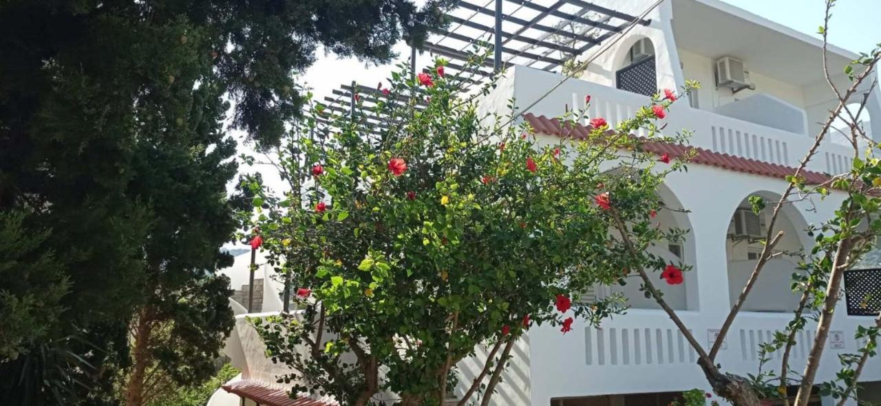Afroditi Hotel Plakias Dış mekan fotoğraf
