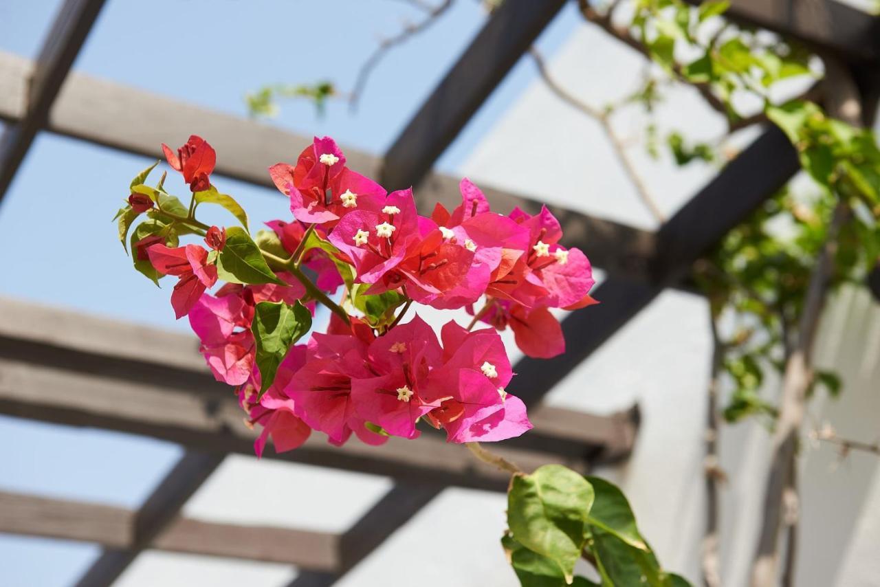 Afroditi Hotel Plakias Dış mekan fotoğraf